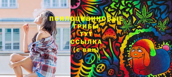 марки nbome Богородицк